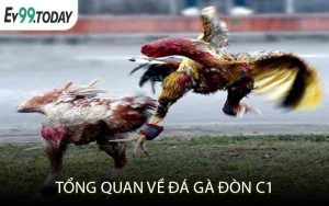 Tổng quan về đá gà đòn C1