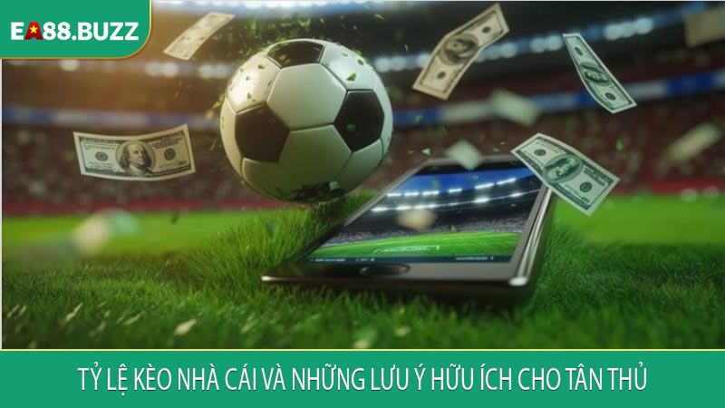 Tỷ lệ kèo nhà cái và những lưu ý hữu ích cho tân thủ